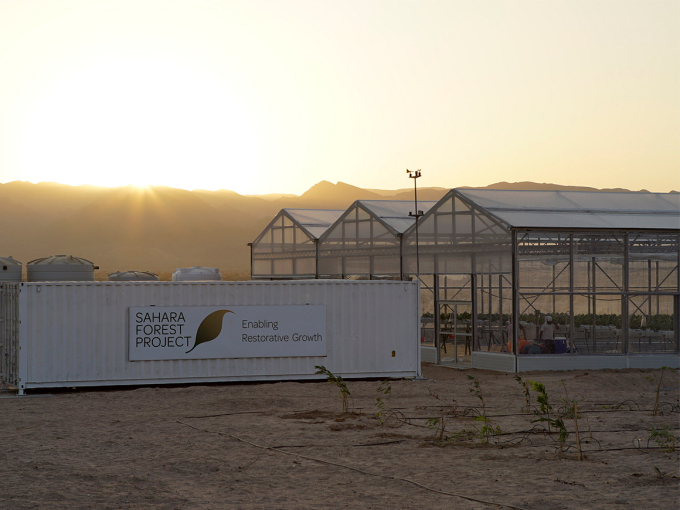 The new facility is the size of four football pitches. Photo: Anders Nybø / Sahara Forest Project